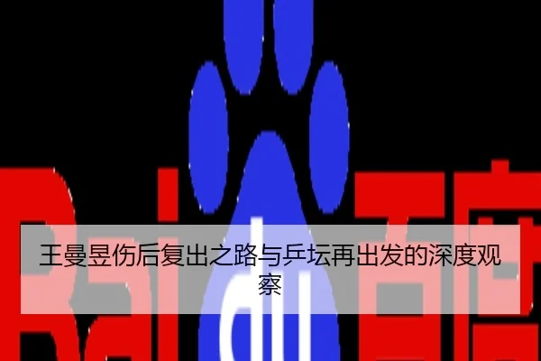 王曼昱伤后复出之路与乒坛再出发的深度观察