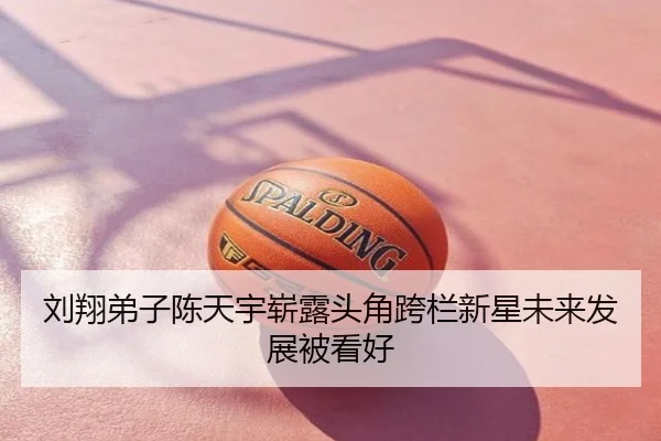 刘翔弟子陈天宇崭露头角跨栏新星未来发展被看好